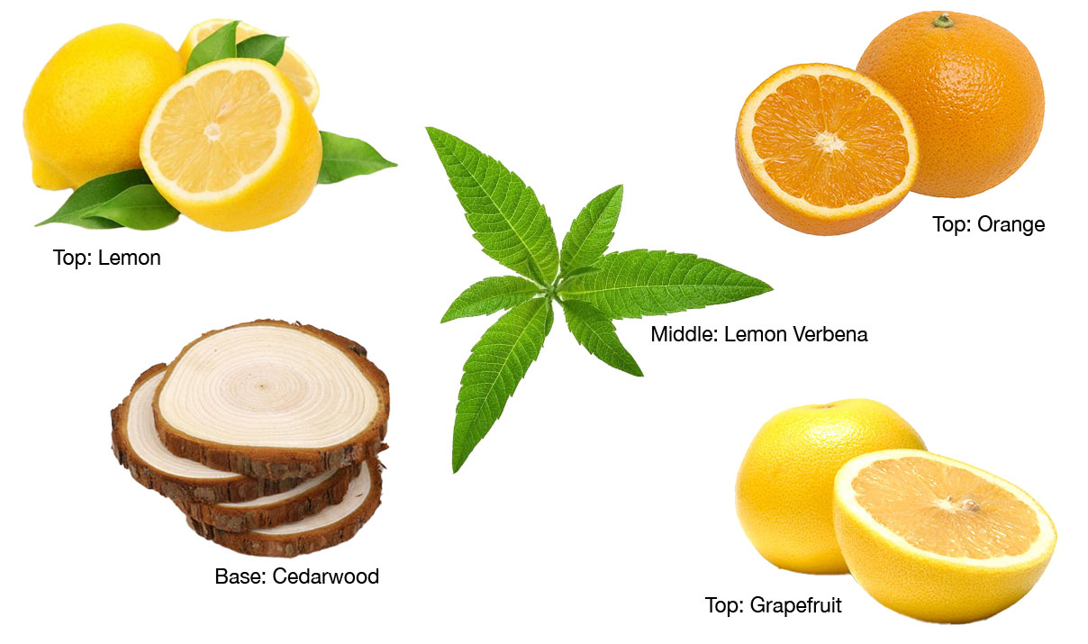 L'Occitane Lemon Verbena Scent Profile